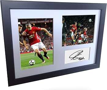 81+wD0ywVML._AC_UF350,